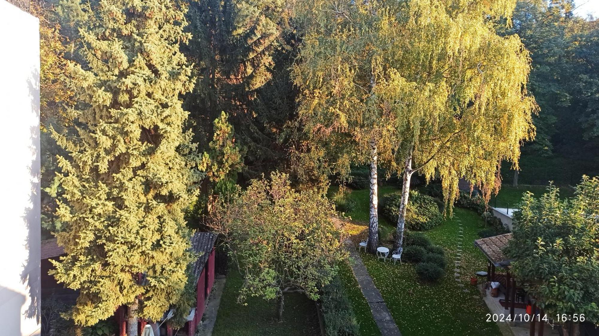 Apartman Oaza Olja Bělehrad Exteriér fotografie