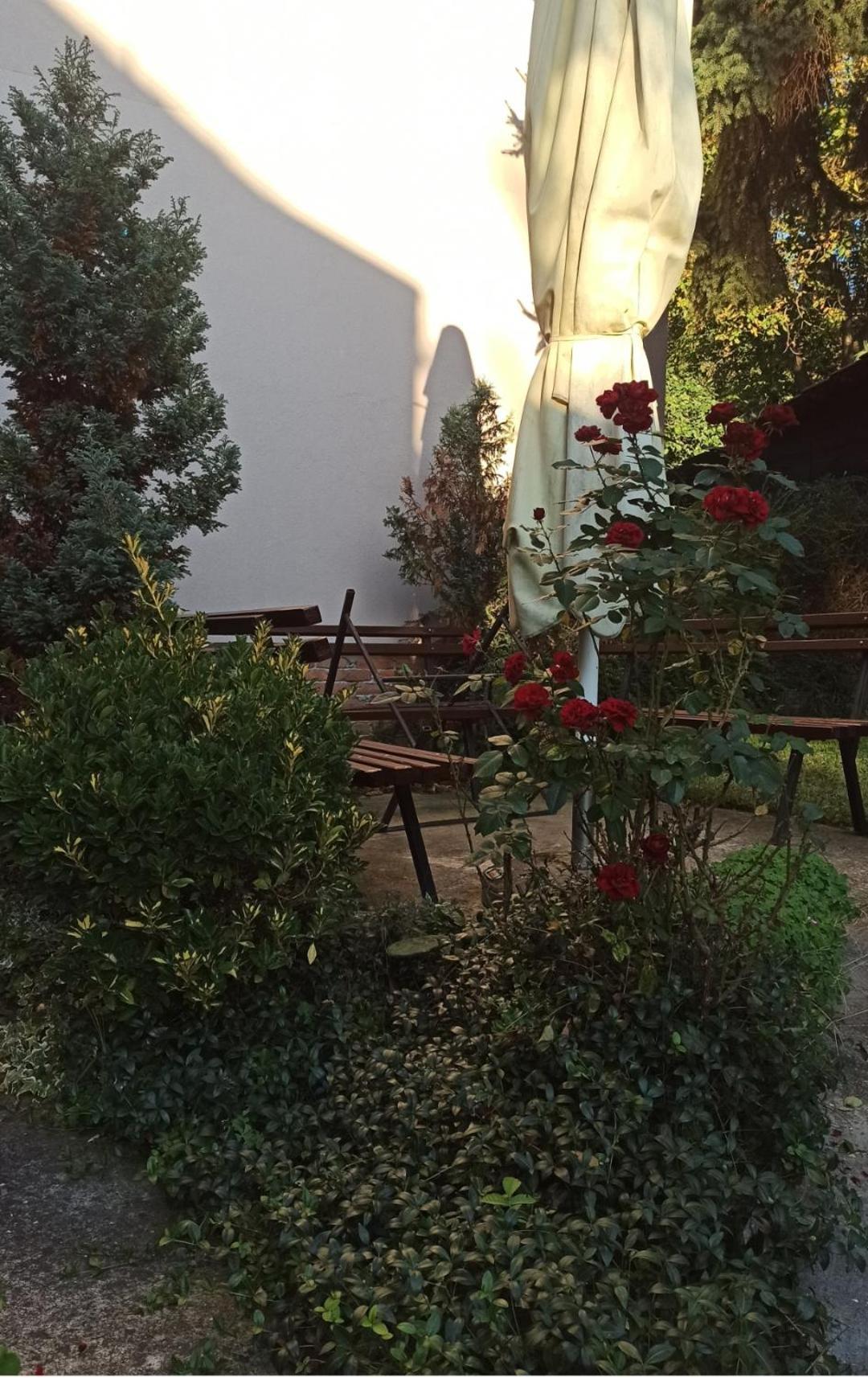 Apartman Oaza Olja Bělehrad Exteriér fotografie